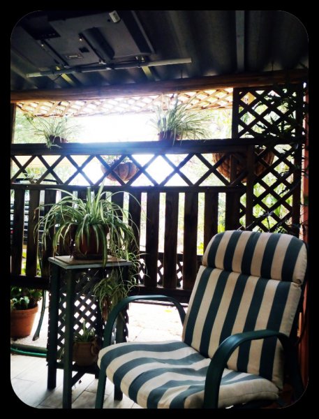 Spders 13 Sep 21.jpg