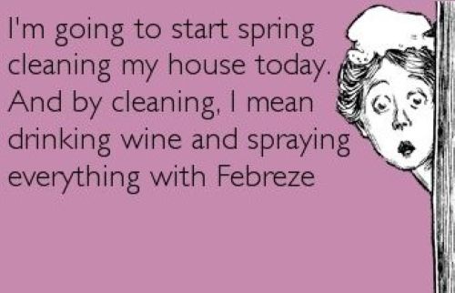 Spring Cleaning 1.jpg