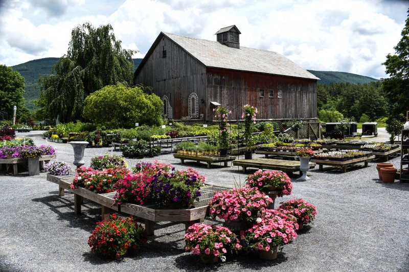 Spring in Vermont.jpg