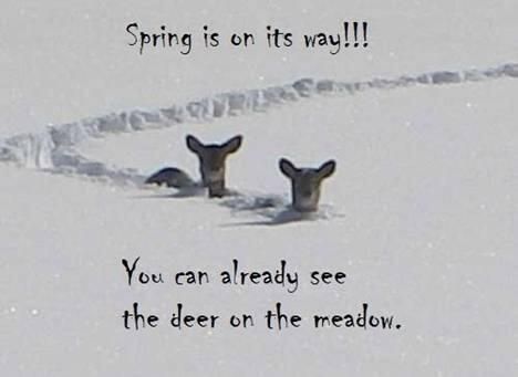 spring-is-here-spring-.jpg