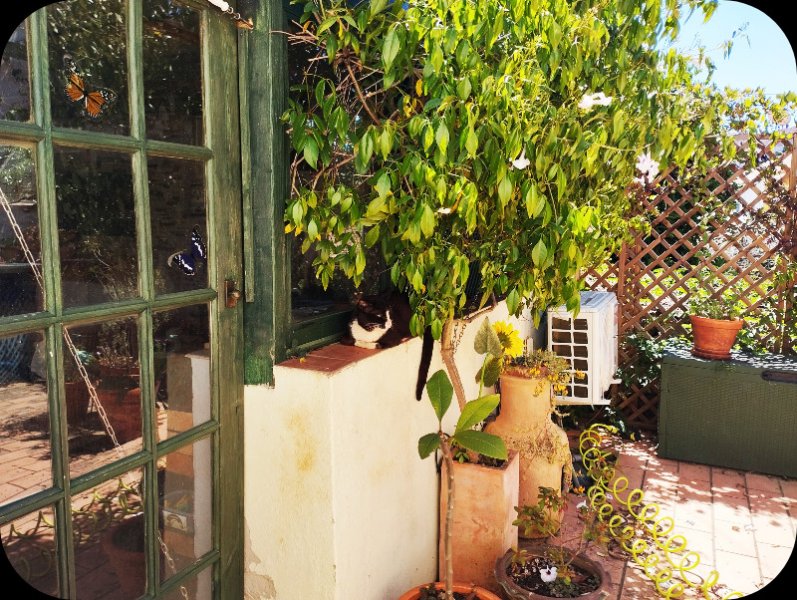 Squeak 23 Apr 24.jpg