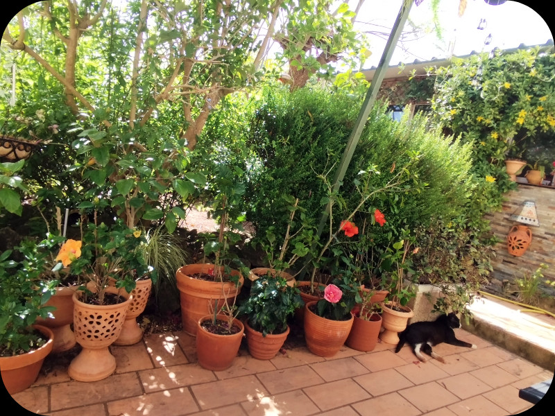 Squeak & Hibs 29 May 25.jpg