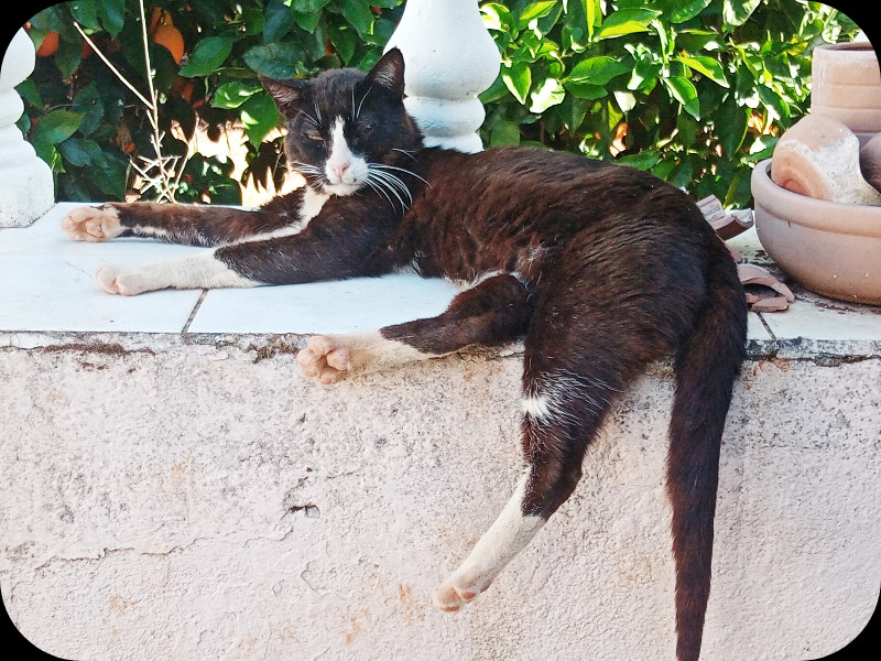 Squeak i Baffio  25 May 24.jpg