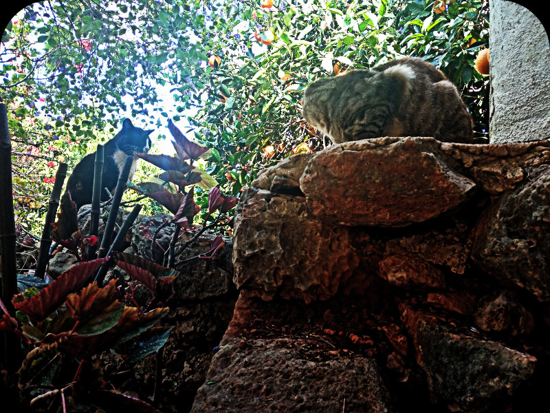 Squeak & Munch i3 in Jungle Room 20 May 24.jpg