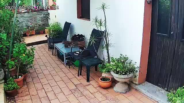 Squeak on V's Chair 29 May 25.jpg