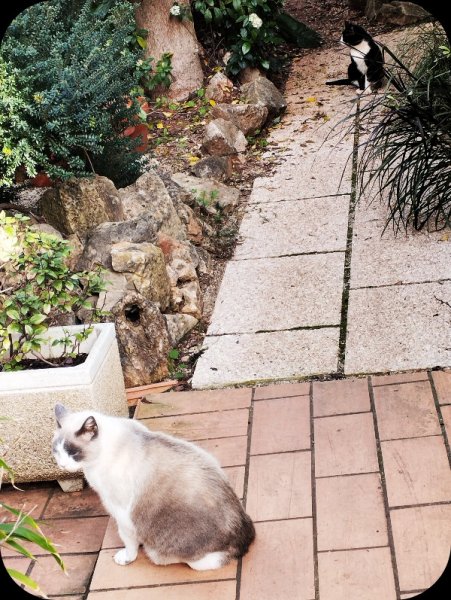 Squeak & Van1 7 Feb 24.jpg