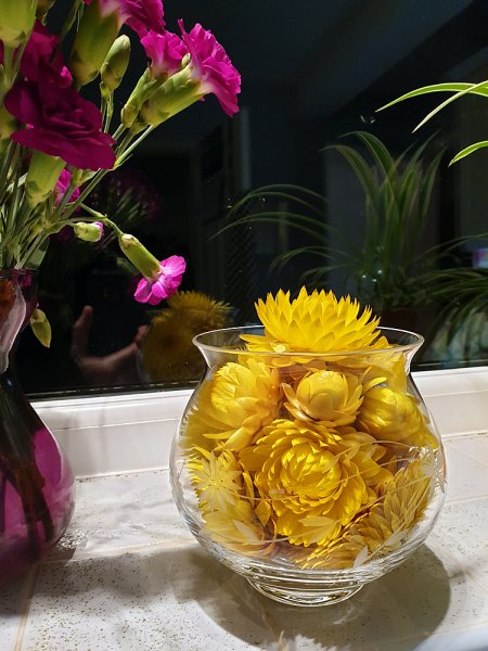 Strawflowers-in-glass.jpg