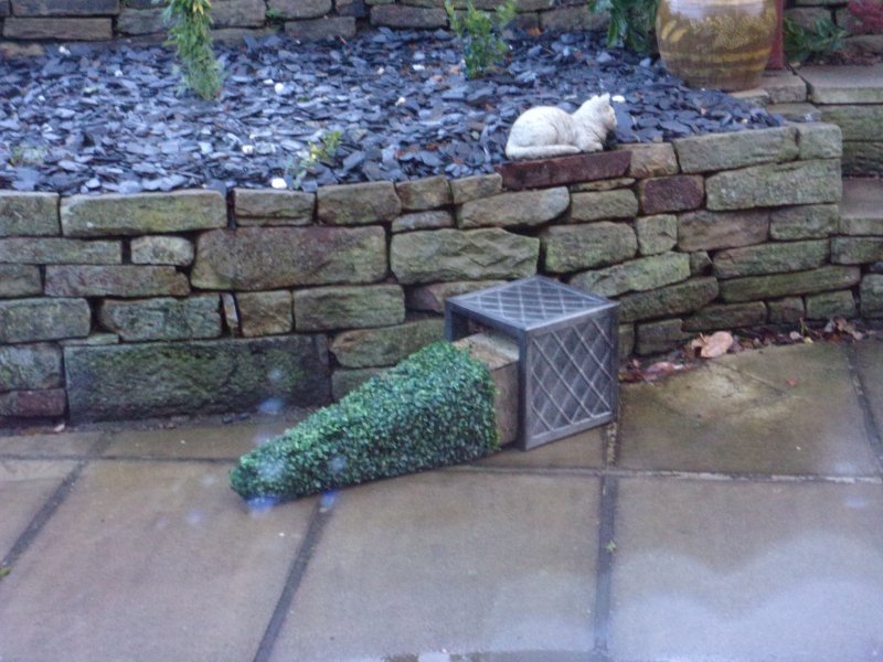 Strong wind._582.JPG