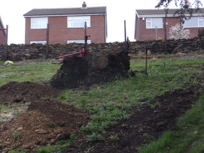 Stumps Mar 2023_0006_01.JPG