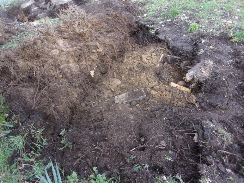 Stumps Mar 2023_0007.JPG