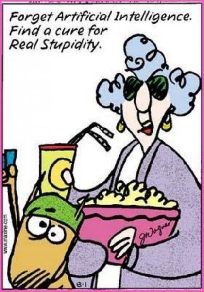 Stupidity.jpg