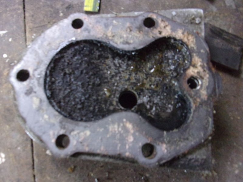 Suffolk Colt._007.JPG