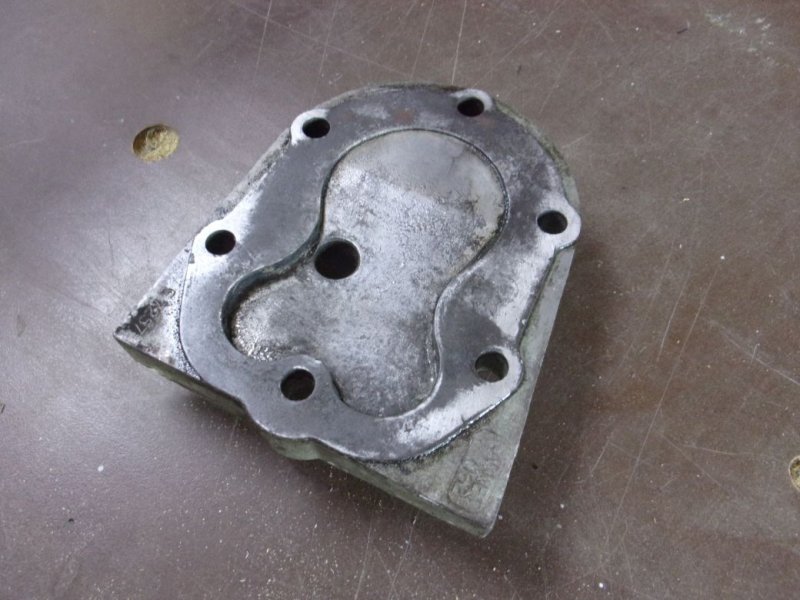 Suffolk Colt._008.JPG