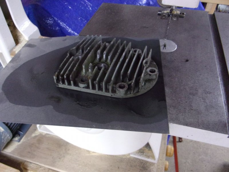 Suffolk Colt._009.JPG