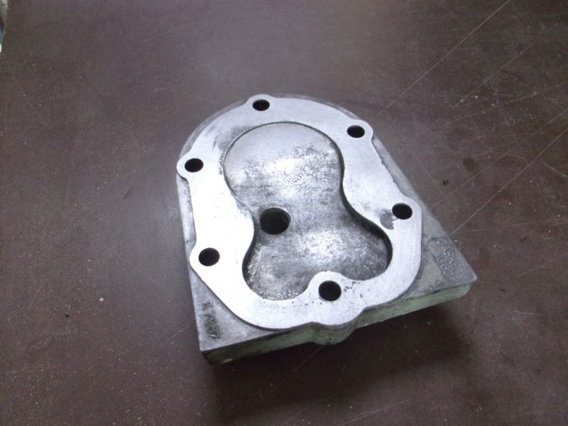 Suffolk Colt._010.JPG