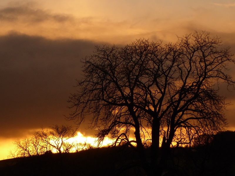 sunrise 07.02.2016B.jpg