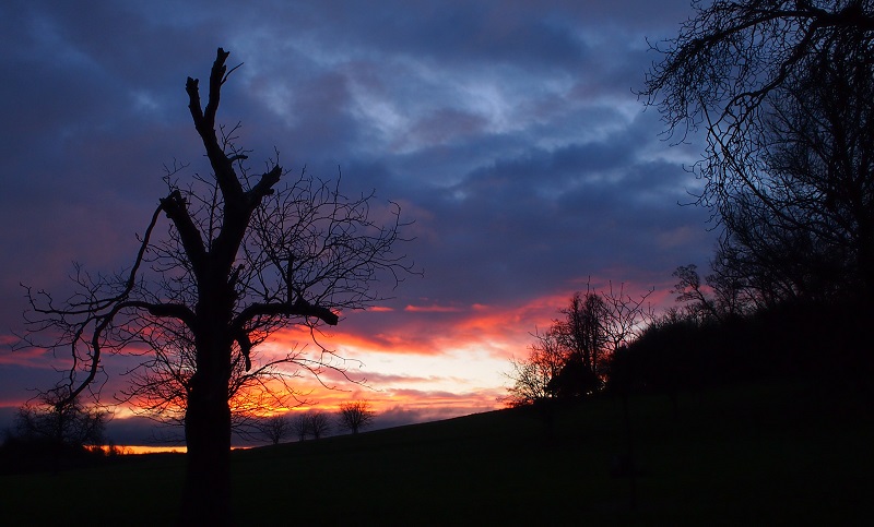 sunrise 08.12.17.jpg