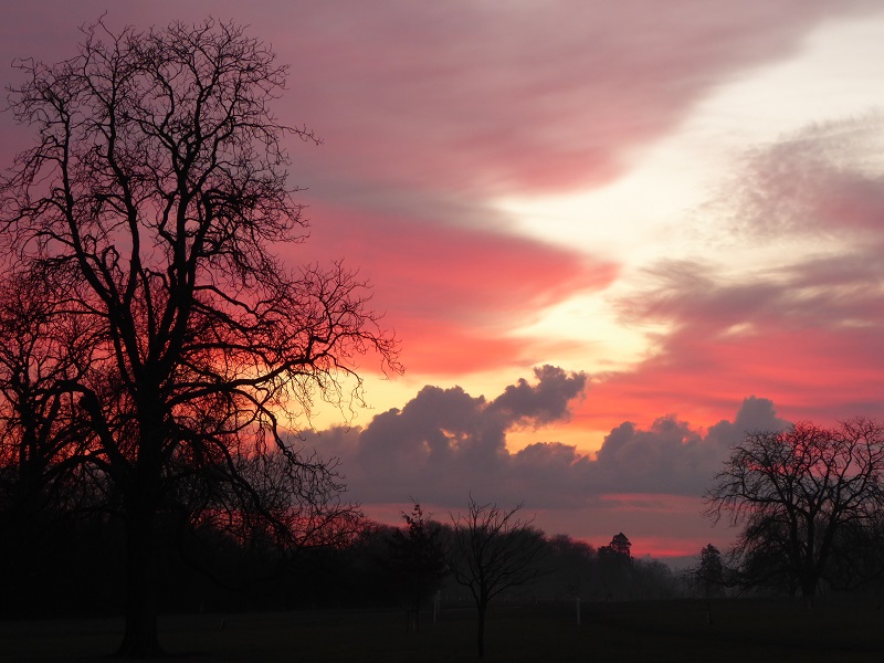 sunrise 12.02.2016.jpg