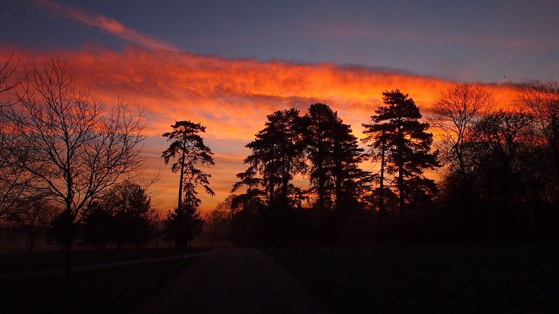 sunrise 19.12.2017.jpg