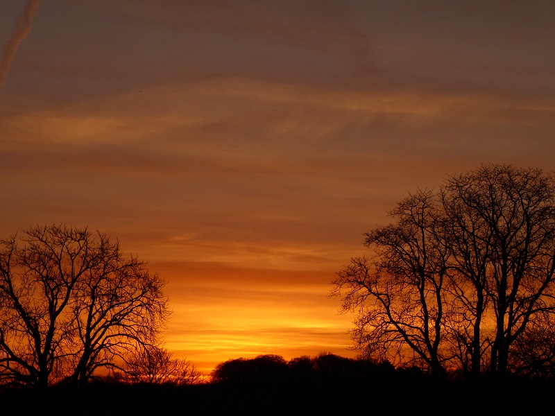 sunrise 25.01.2016.jpg