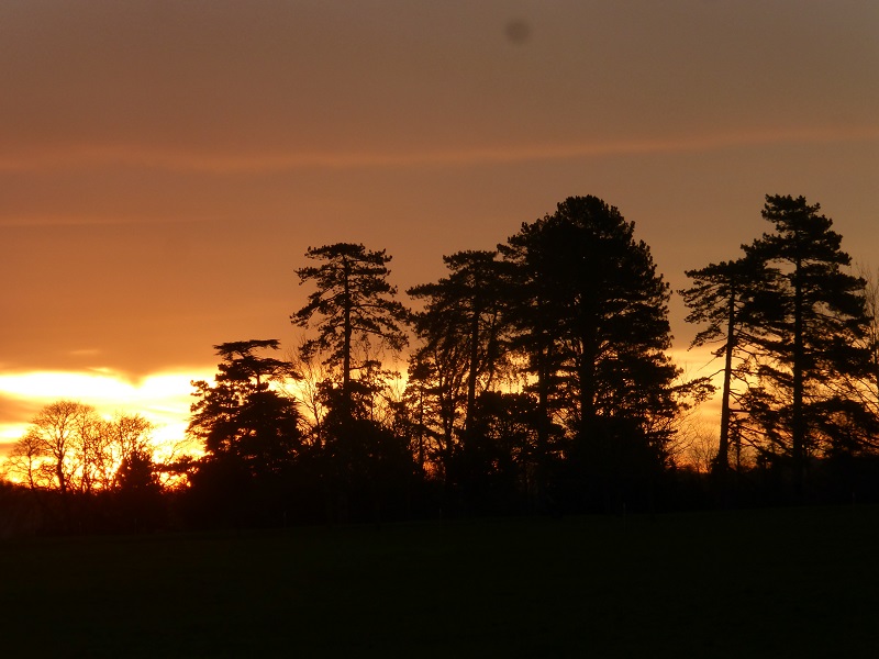 sunrise 28.12.2015.jpg