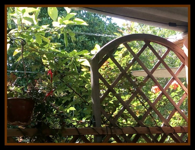 Sunseeker Lipstick May.jpg