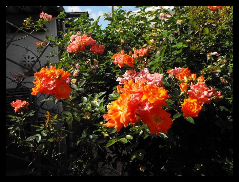 Sunseeker2 26 May 10.jpg