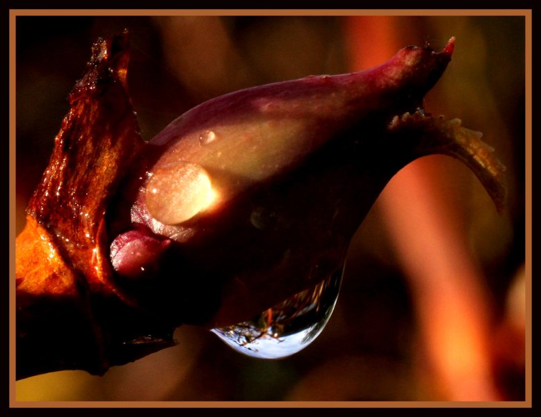 Sunshine after rain.jpg