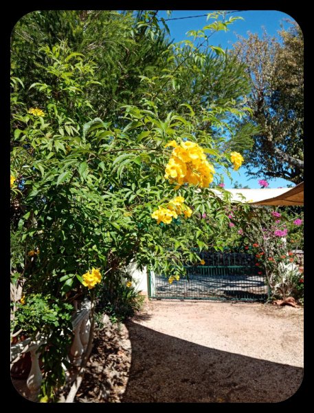 Tecoms Gate 5 Oct 21.jpg