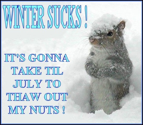 thaw my nuts.jpg