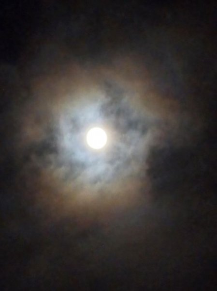 The Cold Moon 04.12.'25.jpg