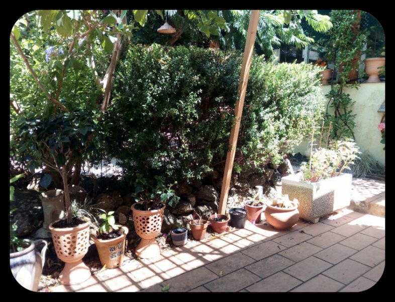 The Nursery R 29 Jun.jpg