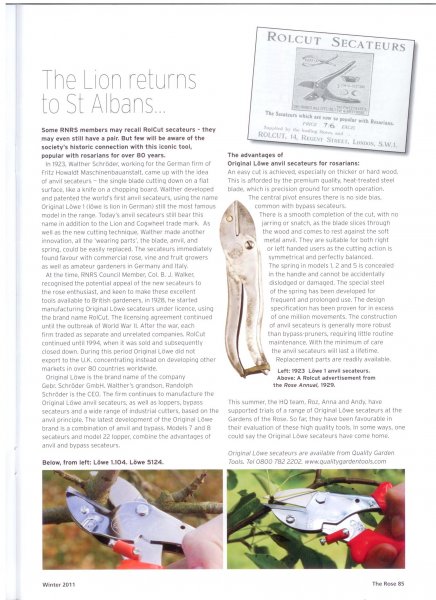 The Rose Article.jpg