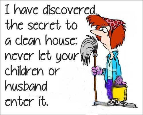 The secret of a clean house.jpg