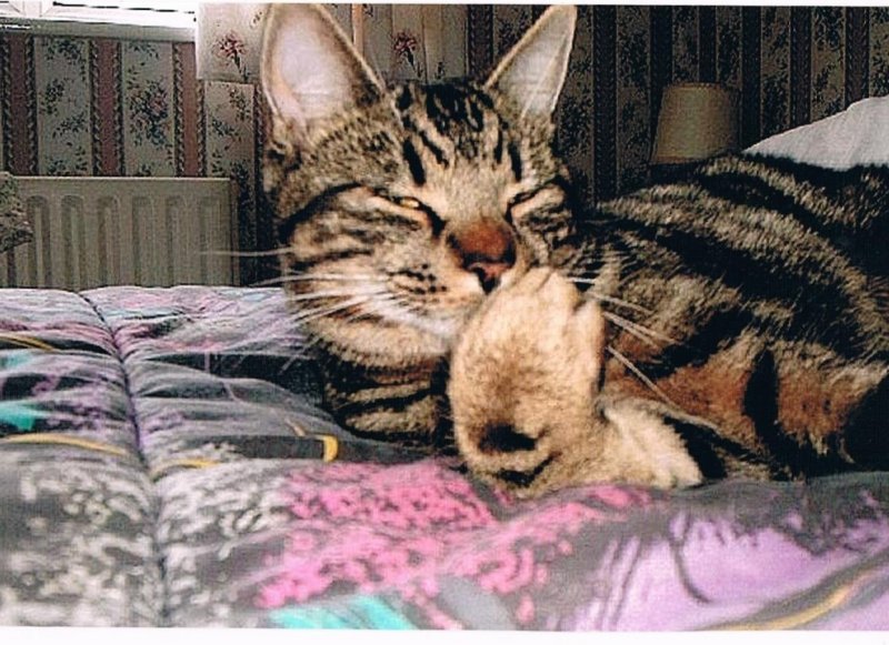 thumbnail_001 (2).jpg