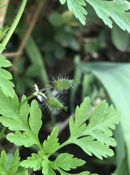 thumbnail_FullSizeRender (3).jpg