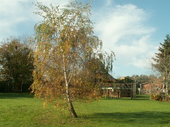 thumbnail_PICT0007 (2).jpg