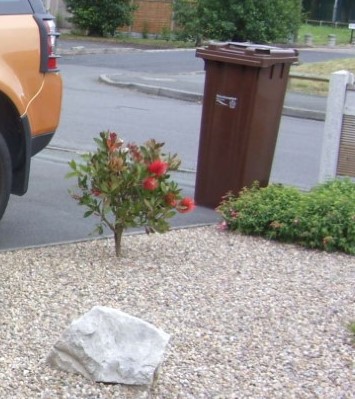 thumbnail_SDC12020 (2).jpg