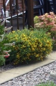 thumbnail_SDC14864 (4).jpg