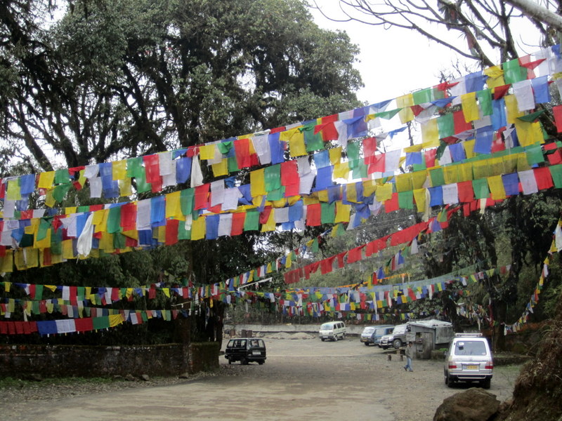 TIGER  HILL 02-04-2011 08-53-28.JPG