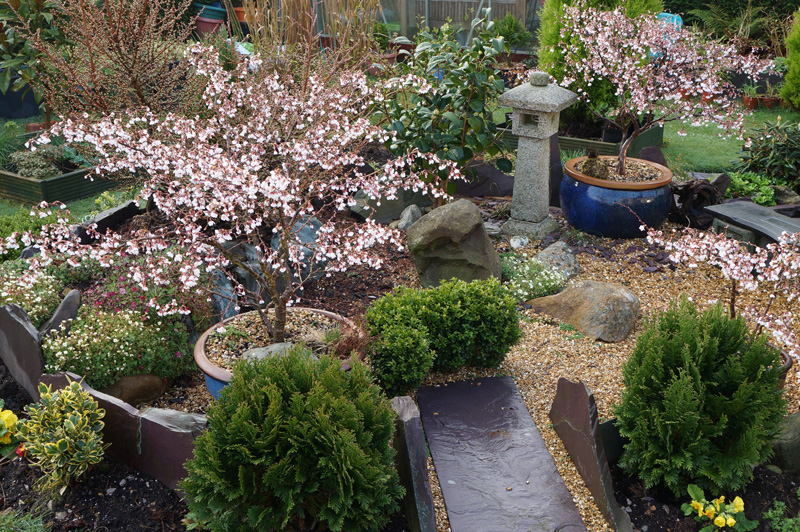 time flies_edited-1.jpg