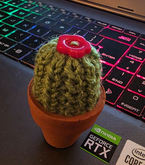 Tiny Cactus.jpg