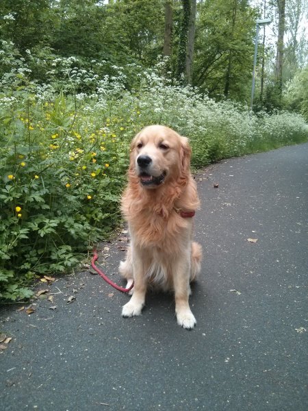 tmp_22112-barley sitting379102281.jpg