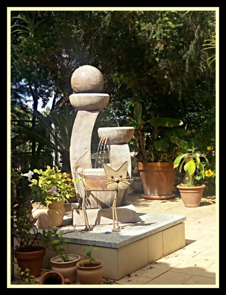 Toby & Obi 12 Jun.jpg