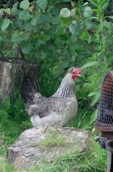 today 045 (677x1024).jpg