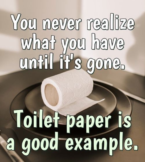 Toilet paper.jpg