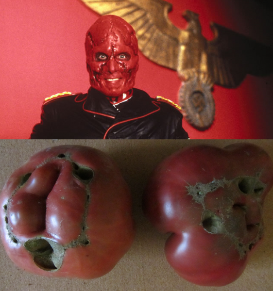 tomato head.png