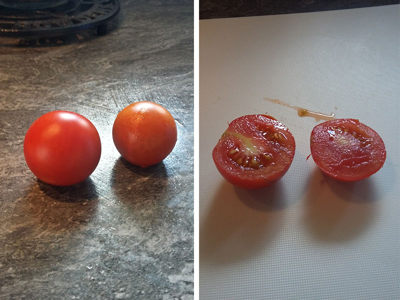 tomatoes.jpg