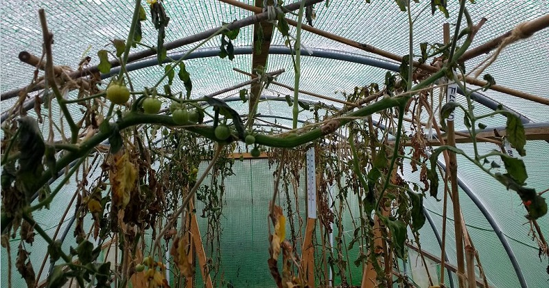 toms tunnel 02.11.17.JPG