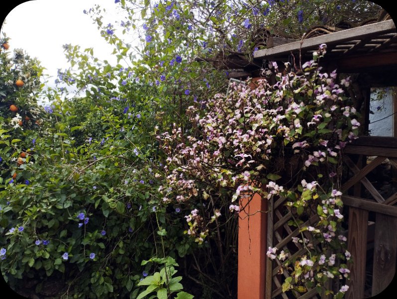 Transcandia 6 Apr 25.jpg